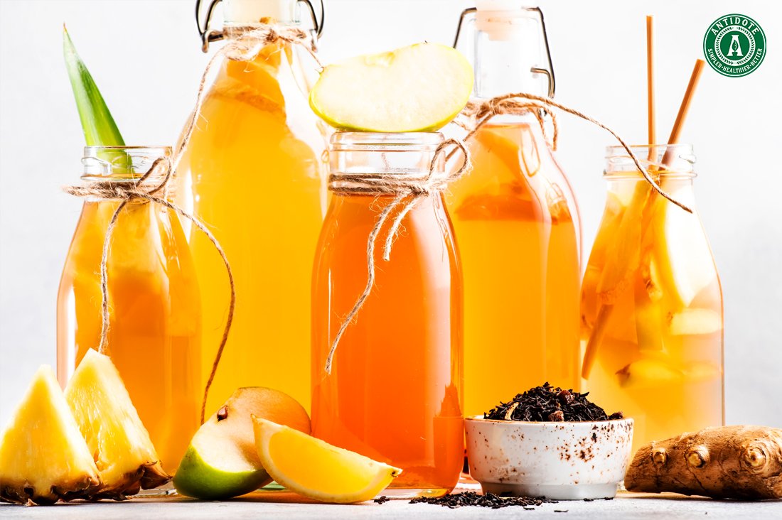 How Kombucha Can Improve Gut Health Antidote