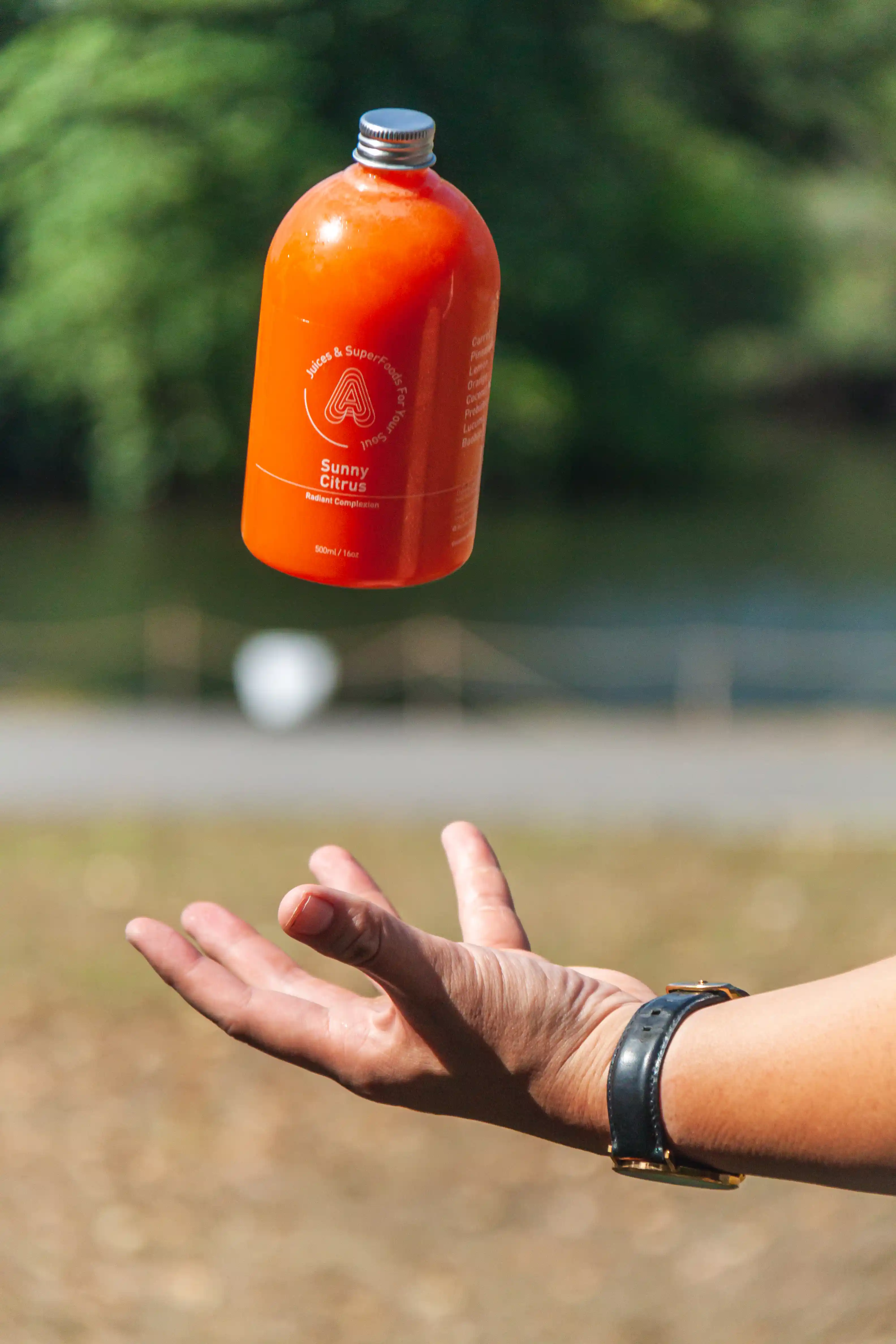 ANTIDOTE Cold Pressed Juice Collection